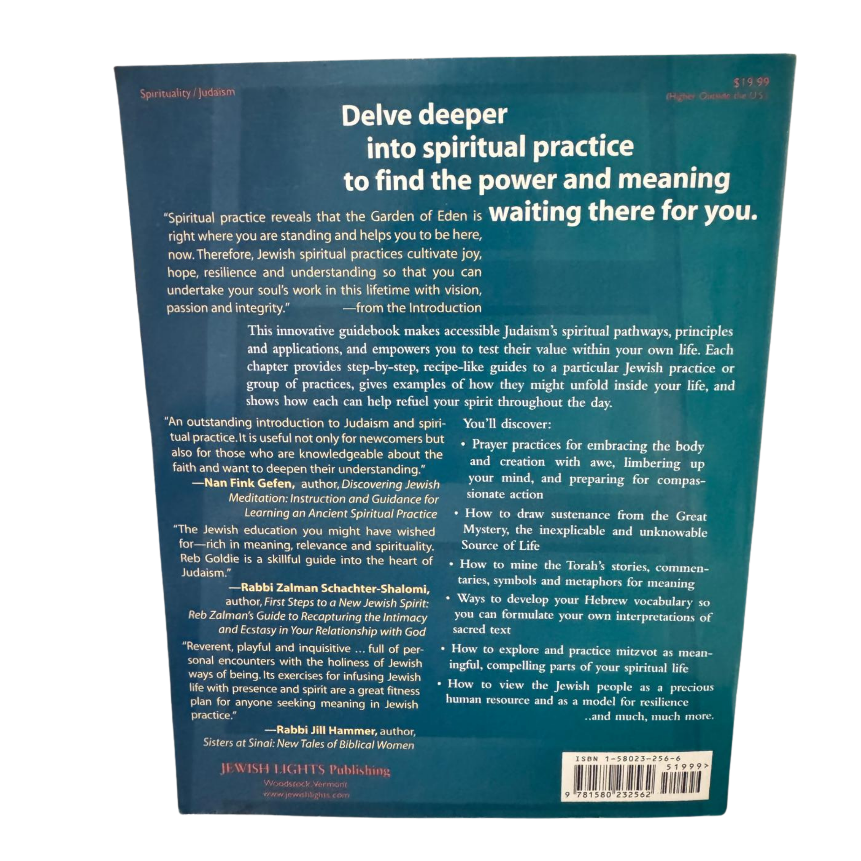 Meaning & Mitzvah: Daily Practices for Reclaiming Judaism
